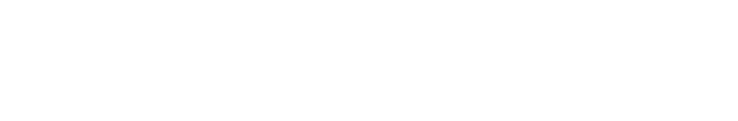 STONE CAMPUS SAFETY